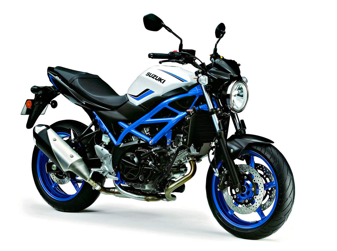 Suzuki Modelljahr 2019 Preise